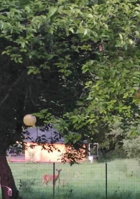 Insolite Kota Avec Spa Et Demi Bt De Champagne Offerte Ruch Exteriör bild