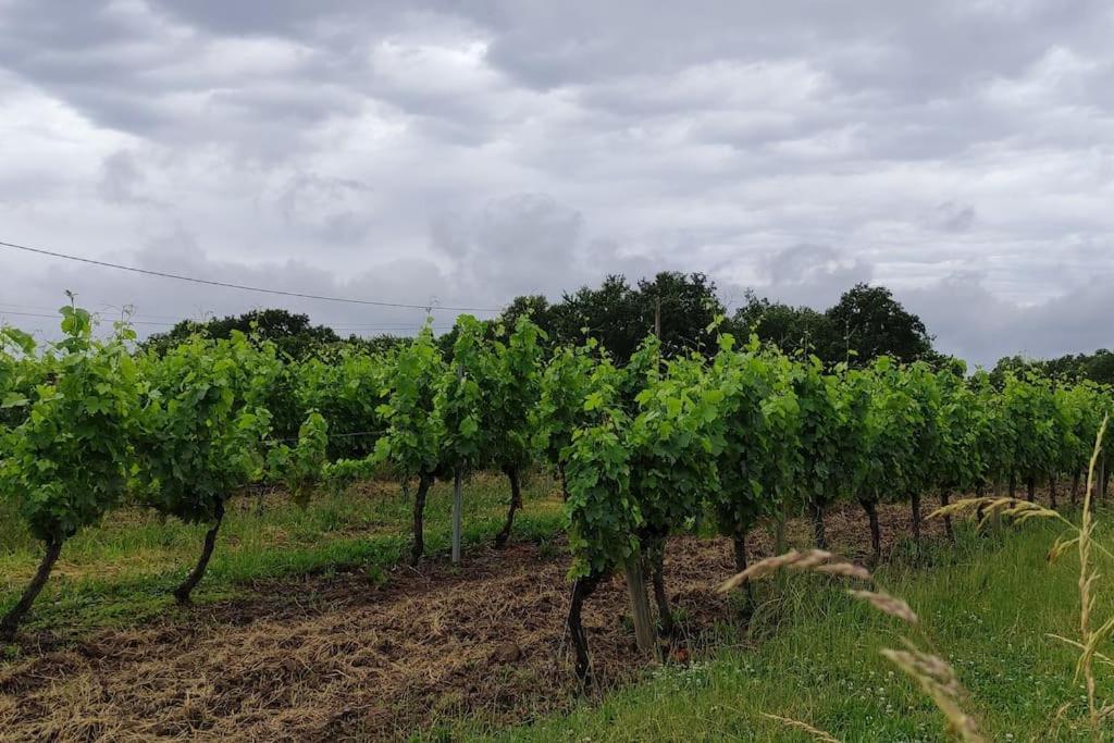 Insolite Kota Avec Spa Et Demi Bt De Champagne Offerte Ruch Exteriör bild